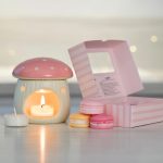 Coffret Mushi Rose