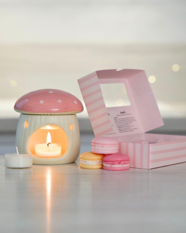 Coffret Mushi Rose